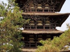 -北京世界公园