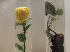 -广东中医药博物馆