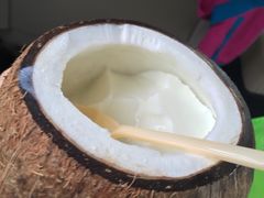 -志龙皇冠吃货椰子铺