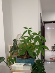 -Dr.Jane皮肤管理中心