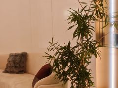 -守田肩颈·推拿SPA(颐豪旗舰店)
