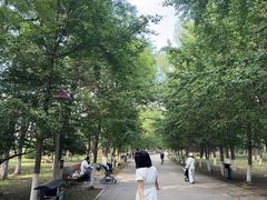 -长白岛森林公园
