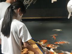 -昆明大悦城未来动物城(螺蛳湾中心店)