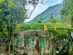 -姑婆山旅游区