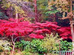 -岳麓山风景名胜区