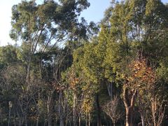 -秦岭天竺山生态文化旅游景区
