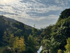 -云溪植物园