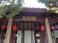 -香雪海
