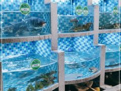 水产区-松沪名灶·豆浆鱼头·新上海菜(飞航吾悦广场店)