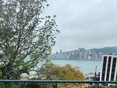 -讯号山花园
