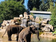 -北京野生动物园