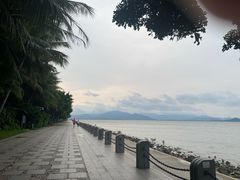 -深圳湾公园(南山区)