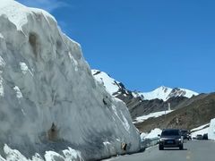 -俭寨大盘芦花土鸡·小公鸡·烧烤新疆菜(云通店)