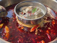 -金鼎雪山牦牛杂火锅(理县总店)