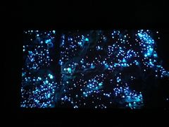 -南宁时代电影大世界(CGS激光中国巨幕)