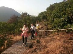 -大罗山风景区