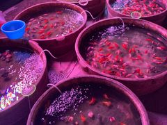 -中环花鸟鱼虫市场