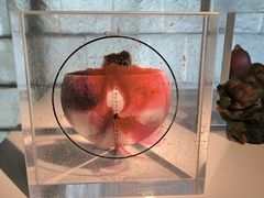 -上海琉璃艺术博物馆