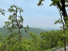-南京老山国家森林公园
