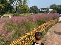 -艾溪湖湿地公园