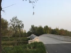 -东郊湿地公园