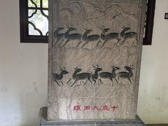 -上海醉白池公园