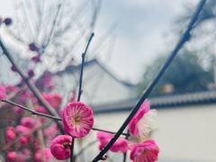 -北山街历史文化街区