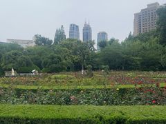 -上海孙中山故居纪念馆