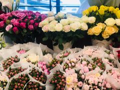 -绿叶子(春秀路店)