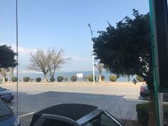 -野菌皇海景野生菌火锅(滨海大道店)
