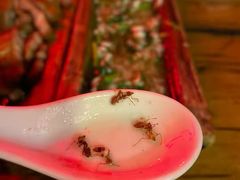 哈尼炒蚂蚁蛋-火咂咂竹筒宴(告庄店)