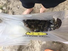 -北海金海湾红树林生态旅游区