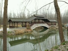 -合肥滨湖国家森林公园