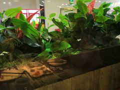 -探炉·香辣豆花烤鱼(雄峰城店)