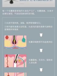 -张昊造型