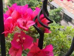 -重庆长寿碧桂园凤悦凤凰酒店