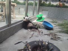 -西安秦岭野生动物园