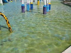 -南宫温泉水世界