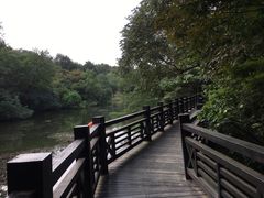 -白马涧龙池景区