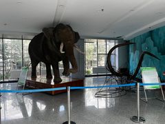 -吉林省自然博物馆