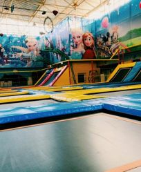 -爱丽丝奇幻乐园