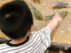 -上海大自然野生昆虫馆(东方明珠·爬宠昆虫探索中心)