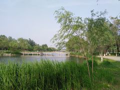 -延庆地质公园博物馆