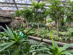 -南宫五洲植物乐园