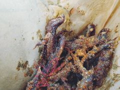 脆皮炸鸭舌-降龙爪爪(建设路2店)