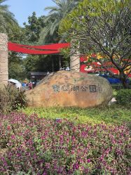 -小鲤鱼寻宝记·AR亲子户外剧本闯关(广州东山湖公园店)