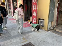 -青岛海滨风景区