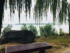 -金鸡湖桃花岛