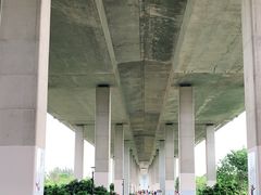 -中澳友谊花园