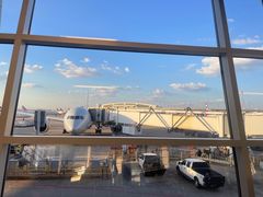 -达拉斯 沃斯堡国际机场